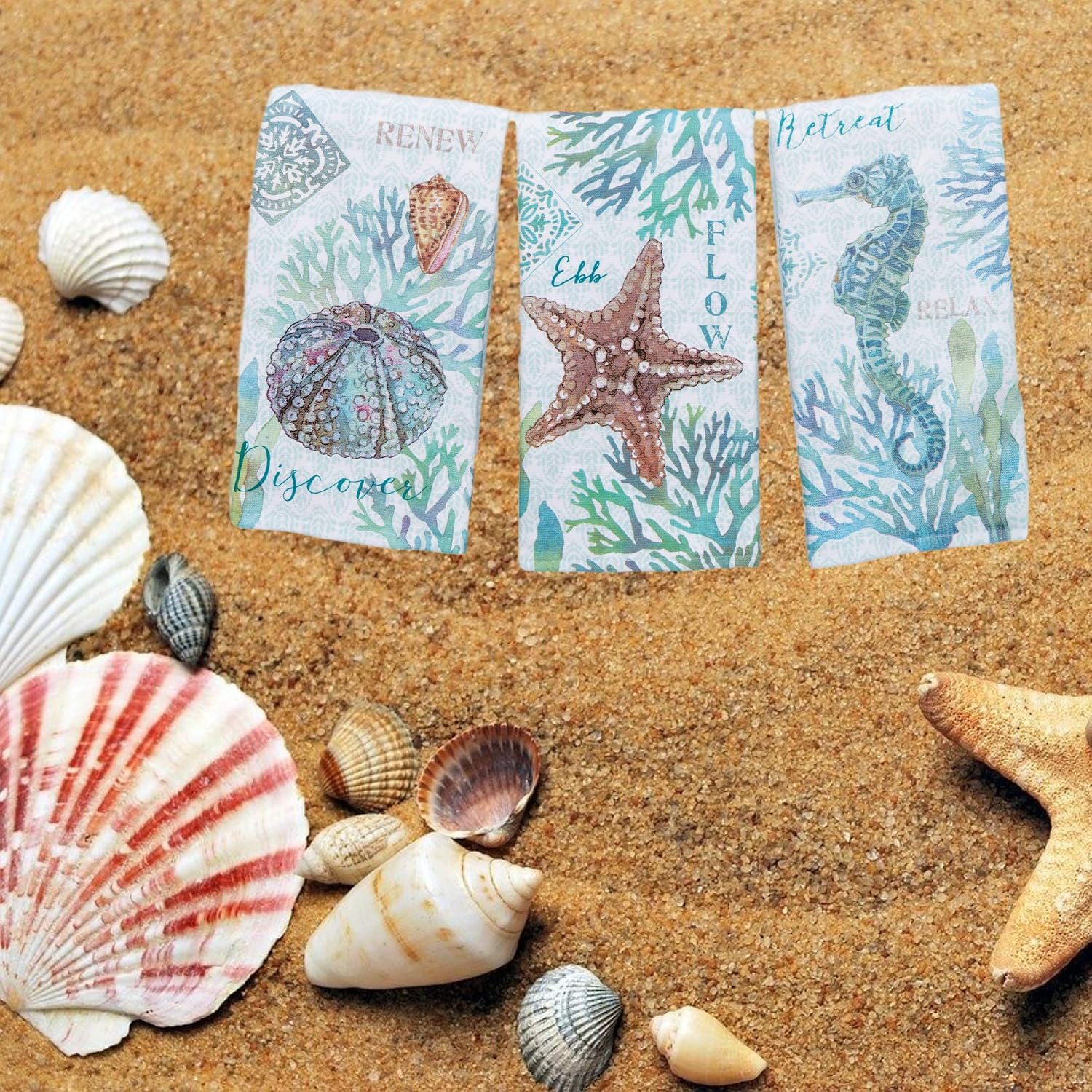 Set of 3 Beachcomber Dual Purpose Terry Kitchen Towels